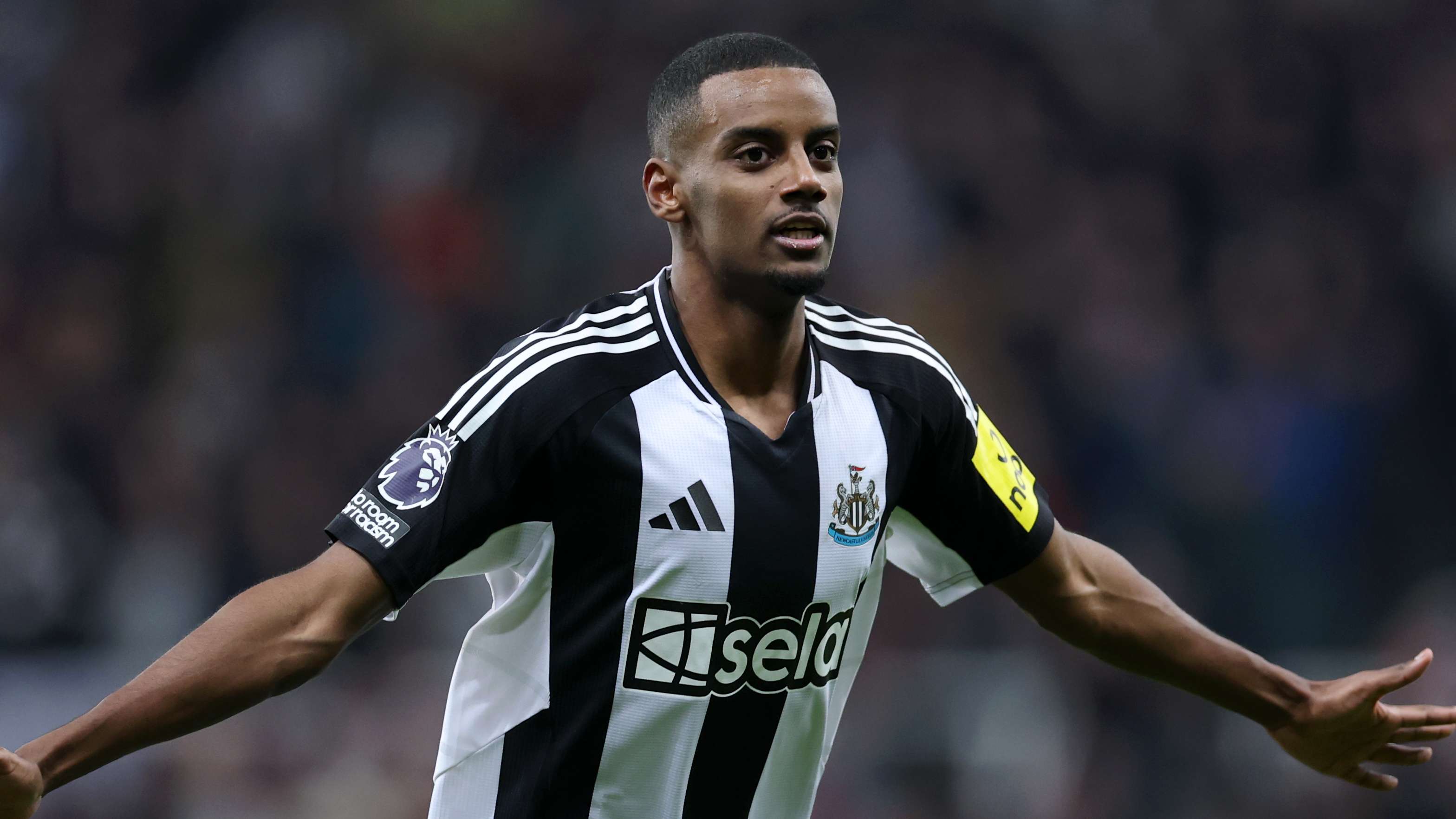 它不过是绿 它不过是绿