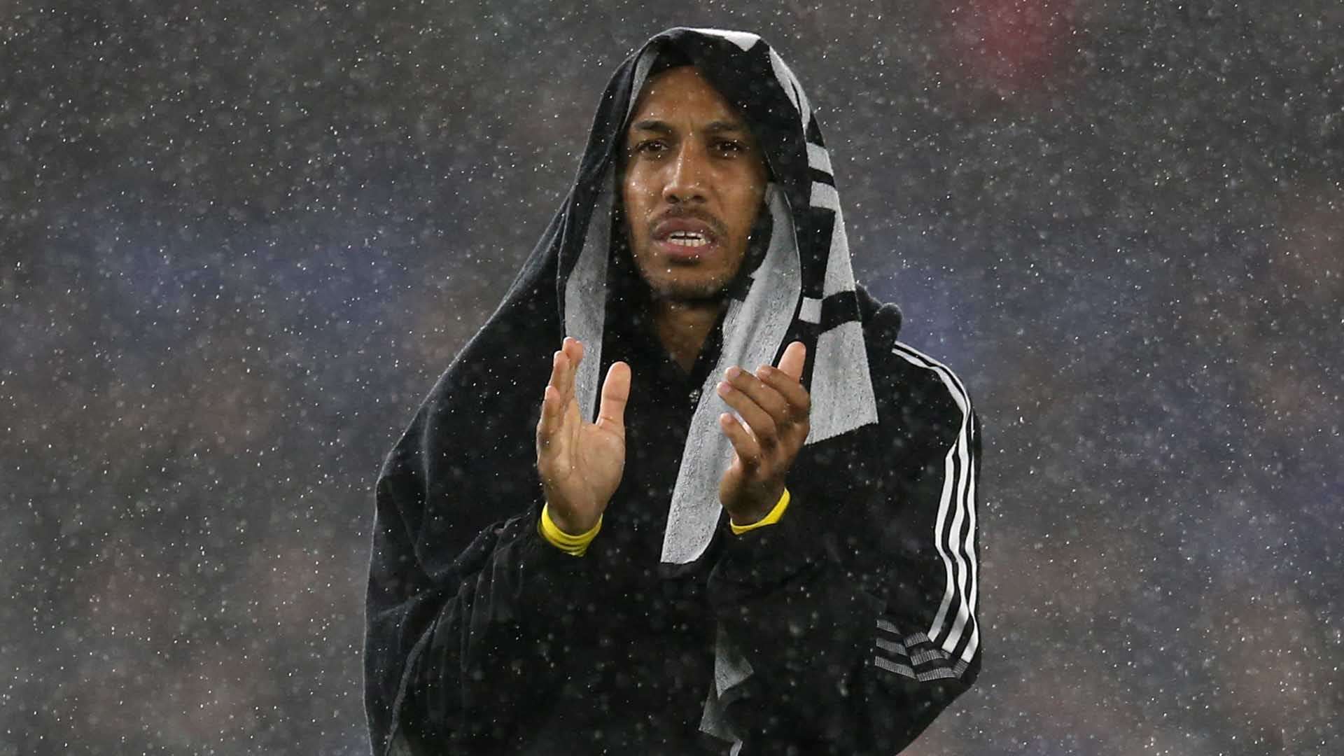 更是球迷情 更是球迷情